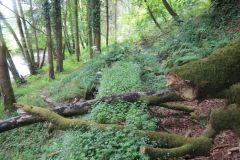 1.-Saw-Mill-leat-21