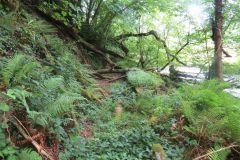 1.-Saw-Mill-leat-22