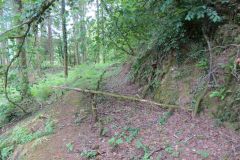 1.-Saw-Mill-leat-27