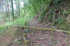 1.-Saw-Mill-leat-28