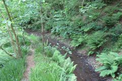 1.-Saw-Mill-leat-31