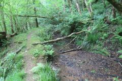 1.-Saw-Mill-leat-32