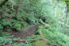 1.-Saw-Mill-leat-33