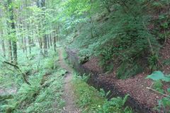 1.-Saw-Mill-leat-34