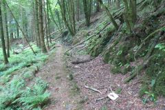 1.-Saw-Mill-leat-37