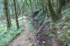 1.-Saw-Mill-leat-38