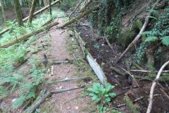 1.-Saw-Mill-leat-39