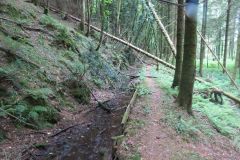 1.-Saw-Mill-leat-42
