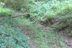 1.-Saw-Mill-leat-49