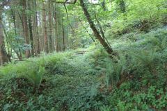 1.-Saw-Mill-leat-5