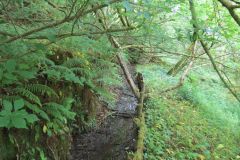 1.-Saw-Mill-leat-54