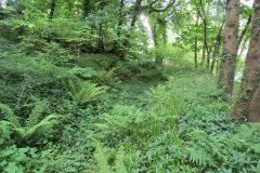 1.-Saw-Mill-leat-6