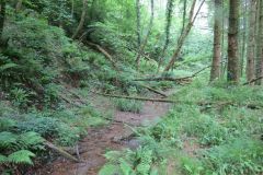 1.-Saw-Mill-leat-9