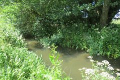 17.-Upstream-from-Hornsbury-Mill