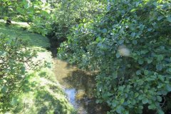 28.-Looking-upstream-from-Eleigh-Bridge