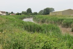 10.-Downstream-from-Somerset-Bridge-1