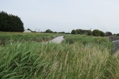 10.-Downstream-from-Somerset-Bridge-2