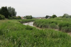 7.-Downstream-from-Somerset-Bridge-1