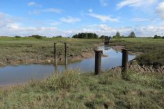 2.-Upstream-from-Tutshill-sluice-5