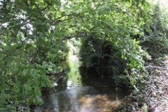 1.-Looking-upstream-from-Coxley-Mill-Leat-Join