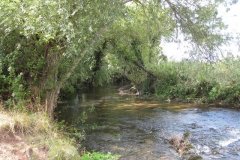 10.Looking-Downstream-from-Cattle-Crossing