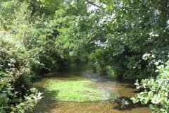 11.River-View-Looking-Downstram