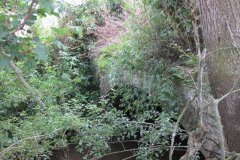 17.-Disused-Accomodation-Bridge-Downstream-Arch