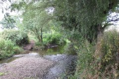 18.River-View-Downstream-from-Disused-Accomodation-Bridge