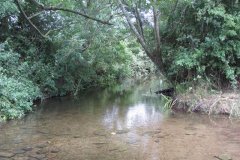 23.Looking-Upstream-from-Ford