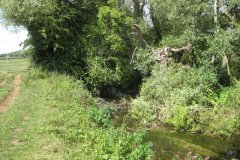 32.Looking-Downstream-from-Mellsbury-Bridge