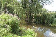 7.River-View-downstream-from-Burcott-Lane