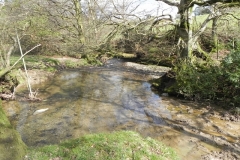 19. Upstream from Heddon Valley Mill