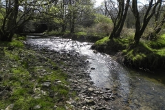 20. Upstream from Heddon Valley Mill