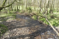 21. Upstream from Heddon Valley Mill