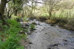 31. Downstream from Heddon Valley Mill