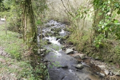 32. Downstream from Heddon Valley Mill