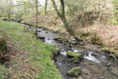 35. Downstream from Heddon Valley Mill