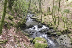 46. Flowing below South Down