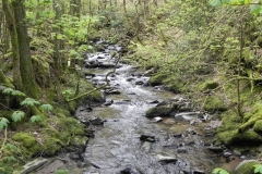 50. Looking upstream from Heddon Valley ROW bridge A