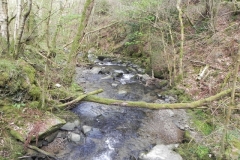 53. Looking downstream from Heddon Valley ROW bridge A