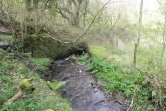 66. Waters join from Martinhoe Cross