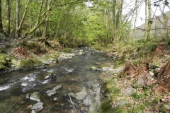 72. Upstream from Mill Farm