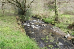 78. Downstream from Mill Farm