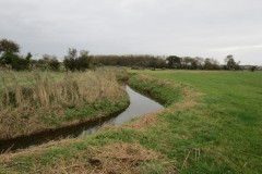 4.-Downstream-from-ROW-Footbridge-1267-1