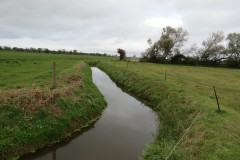 4.-Downstream-from-ROW-Footbridge-1267-2