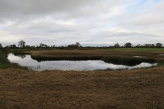 5.-Model-Farm-Ponds-by-Perrymoor-Brook-1