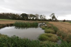 5.-Model-Farm-Ponds-by-Perrymoor-Brook-2