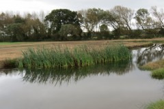 5.-Model-Farm-Ponds-by-Perrymoor-Brook-3