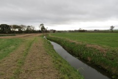 6.-Looking-upstream-from-join-with-Cannington-Brook