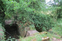 Bridge-and-sluice-over-Petherton-Bridge-Mill-stream-2